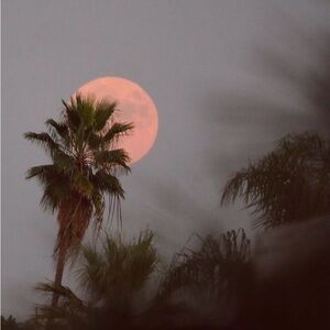 Meet your Posher, Isa b